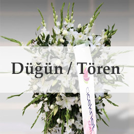 Düğün - Tören - Açılış