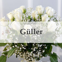 Güller