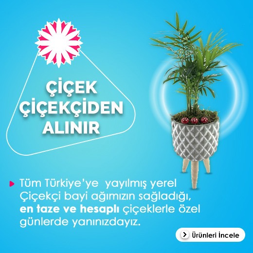Çiçek Çiçekçiden Alınır - Tüm Türkiye'ye yayılmış yerel çiçekçi bayi ağımızın sağladığı en taze ve en hesaplı çiçeklerle özel günlerde yanınızdayız.