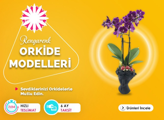 Orkideler