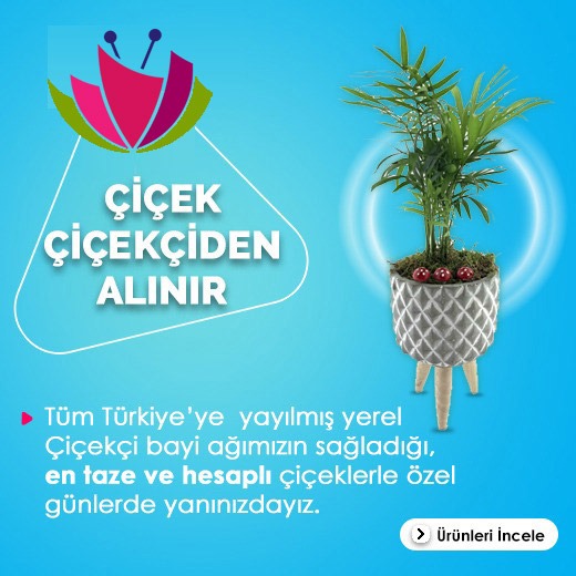 Çiçek Çiçekçiden Alınır - Tüm Türkiye'ye yayılmış yerel çiçekçi bayi ağımızın sağladığı en taze ve en hesaplı çiçeklerle özel günlerde yanınızdayız.