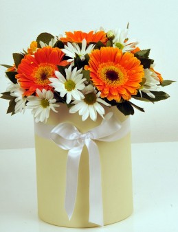 Gerbera Aranjman (Bej Kutu) Kutuda Çiçek çiçek gönder
