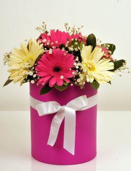 Kutuda Renkli Gerberalar Kutuda Çiçek çiçek gönder