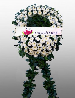 Beyaz Gerbera Cenaze Çelengi Cenaze Çelenkleri çiçek gönder