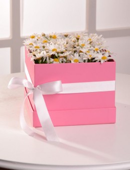 Papatyaların Gizemi Kutuda Çiçek çiçek gönder