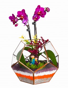 Geometrik Camda Mini Orkide Orkideler çiçek gönder