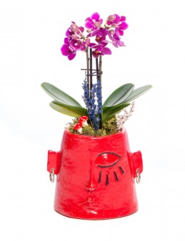 Arati Serisi Mini Mor Orkide Tasarım  çiçek gönder