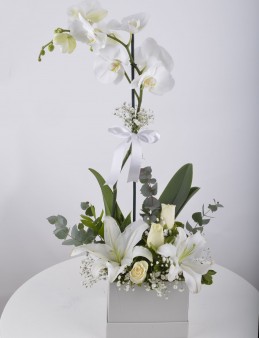 Tek Dallı Beyaz Orkide Çiçeği..  çiçek gönder