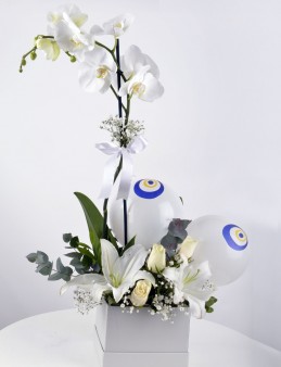Tek Dileğim Beyaz Orkide Çiçeği Orkideler çiçek gönder