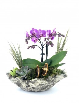 Doğa Harikası Mini Orkide  çiçek gönder