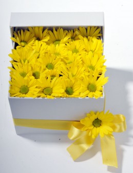 Bahar Özlemi Kır Çiçeği Kutuda Çiçek çiçek gönder