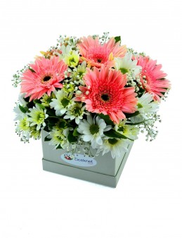 Beyaz Kutu Papatyalar Kutuda Çiçek çiçek gönder