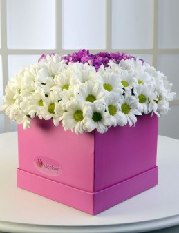 Baharın Kraliçesi Kır Arajmanı. Kutuda Çiçek çiçek gönder