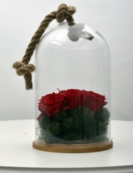 Solmayan Kırmızı  Güller  çiçek gönder