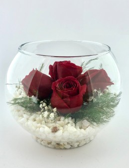Akvaryum Camda 5 Kırmızı Gül Aranjmanlar çiçek gönder