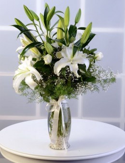 Beyaz Hisler Aranjmanlar çiçek gönder