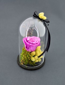 Kapaklı Fanusta Lila Solmayan Gül  çiçek gönder