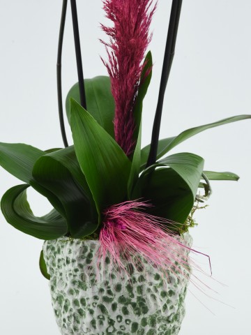 Özel Tasarım Vazoda İkili Mor Orkide Orkideler çiçek gönder