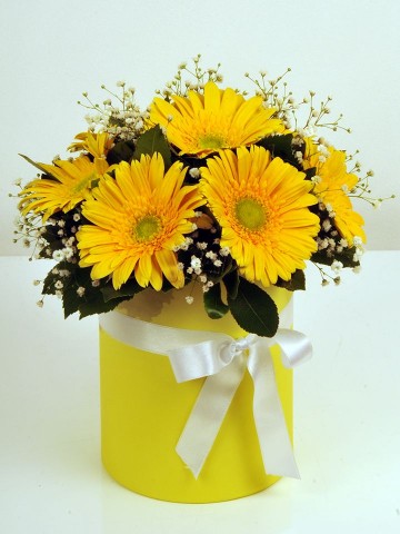 Alman Papatyam Kutuda Çiçek çiçek gönder