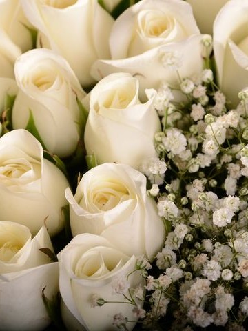 Asil Beyaz Kutuda Çiçek çiçek gönder