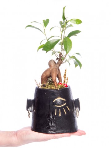 Arati Serisi Ficus Ginseng Bonsai Tasarım Saksı Çiçekleri çiçek gönder