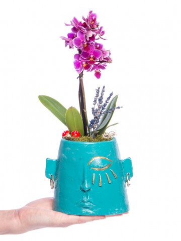 Arati Serisi Mini Mor Orkide Tasarım Orkideler çiçek gönder