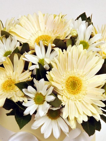 Gerberalar ve Krizantemler Kutuda Çiçek çiçek gönder