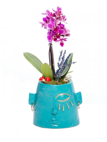 Arati Serisi Mini Mor Orkide Tasarım Orkideler çiçek gönder