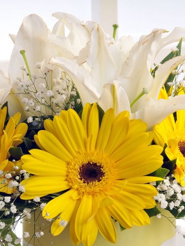 Gün Işığı Kutuda Çiçek çiçek gönder