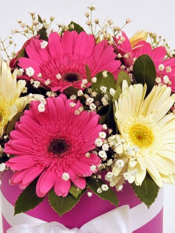 Kutuda Renkli Gerberalar Kutuda Çiçek çiçek gönder