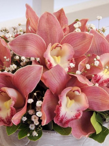 Fincan da Orkide Arajmanı. Aranjmanlar çiçek gönder