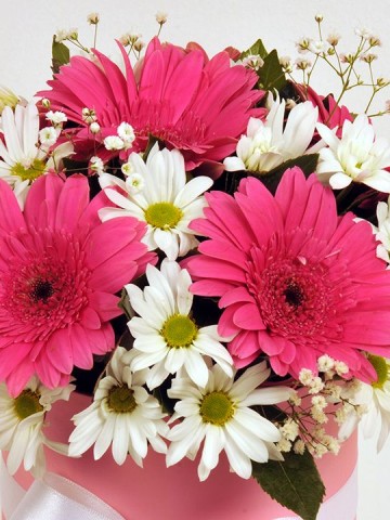 Renk Esintisi Kutuda Çiçek çiçek gönder