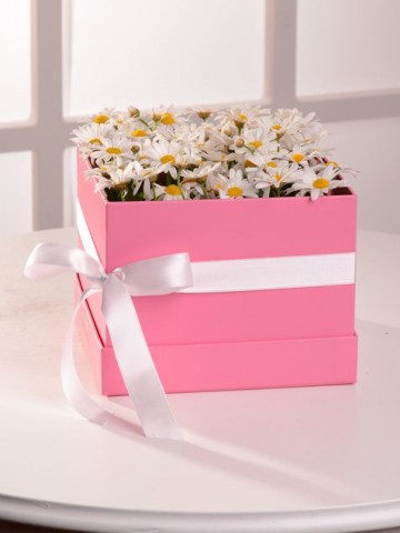 Papatyaların Gizemi Kutuda Çiçek çiçek gönder