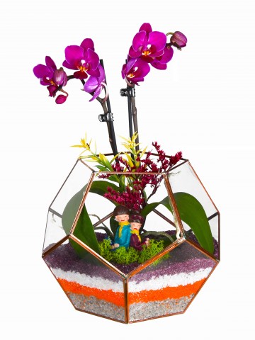 Geometrik Camda Mini Orkide Orkideler çiçek gönder