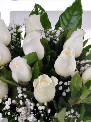 Kar Beyazı 11 Beyaz Gül Arajmanı Aranjmanlar çiçek gönder