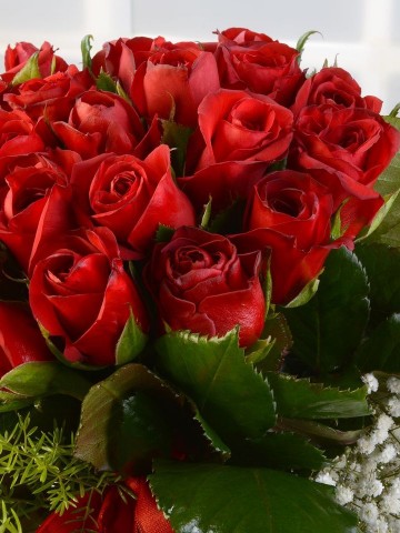 Sevginin Yaşı Hep 19 Aranjmanlar çiçek gönder