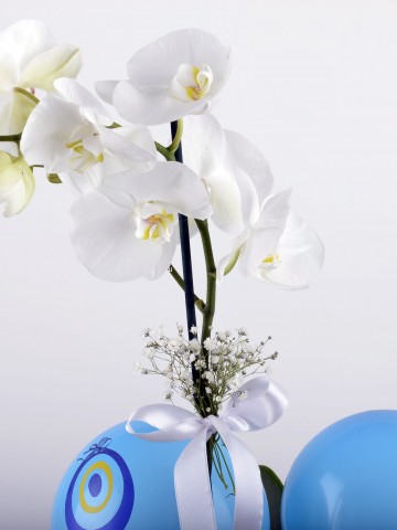 Bir Tek Sen... Beyaz Orkide Çiçeği Orkideler çiçek gönder