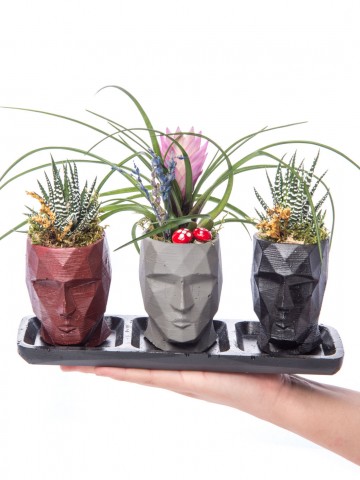 Trio Zeus Serisi Tillendsia Tasarım Saksı Çiçekleri çiçek gönder