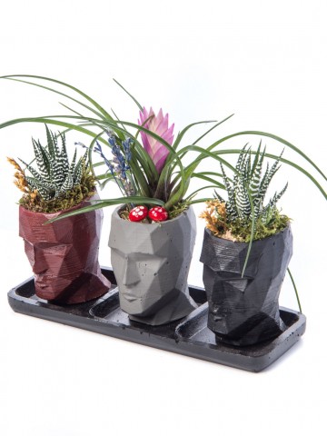 Trio Zeus Serisi Tillendsia Tasarım Saksı Çiçekleri çiçek gönder