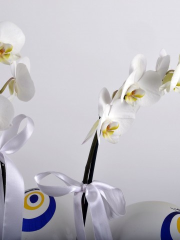 Bembeyaz Bir Gökyüzü Orkideler çiçek gönder