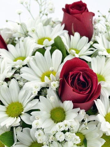 Sihirli Kürede Aşk  Aranjmanlar çiçek gönder