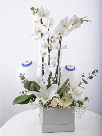 Mavi Boncuğum Beyaz Orkide Çiçeği Orkideler çiçek gönder