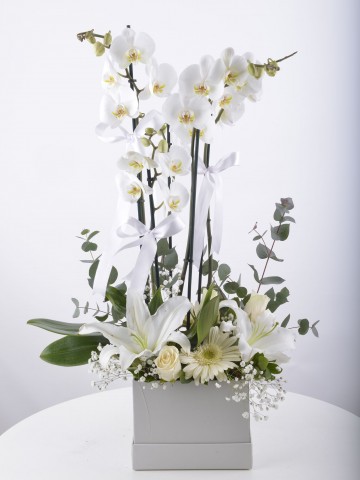 Beyaz orkideli Aranjman Çiçeği Orkideler çiçek gönder