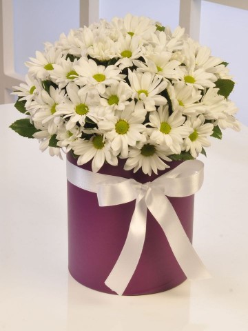 Papatya Güzeli Kutuda Çiçek çiçek gönder