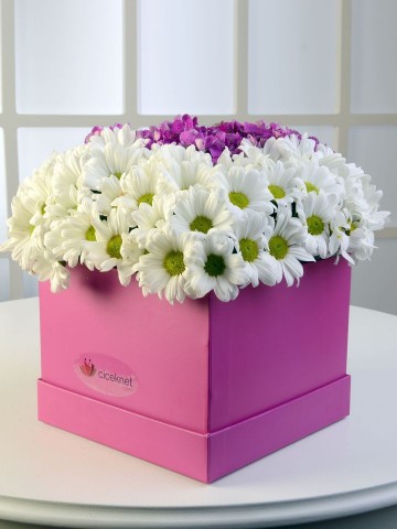 Baharın Kraliçesi Kır Arajmanı. Kutuda Çiçek çiçek gönder