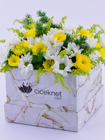 Mermer Desenli Kutuda Bahar Aranjmanı Kutuda Çiçek çiçek gönder