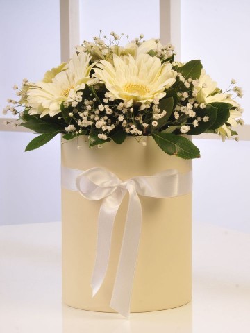 Kutuda Beyaz Gerberalar Kutuda Çiçek çiçek gönder