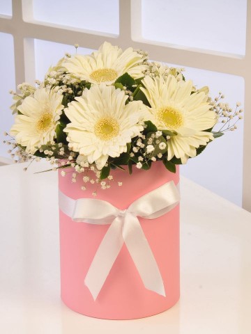 Alman Papatyası Kutuda Çiçek çiçek gönder