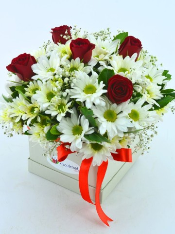 Özel Kutuda Papatyalar ve Kırmızı Güller Kutuda Çiçek çiçek gönder
