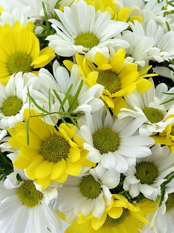 Seramikte Kır Çiçekleri Aranjmanlar çiçek gönder